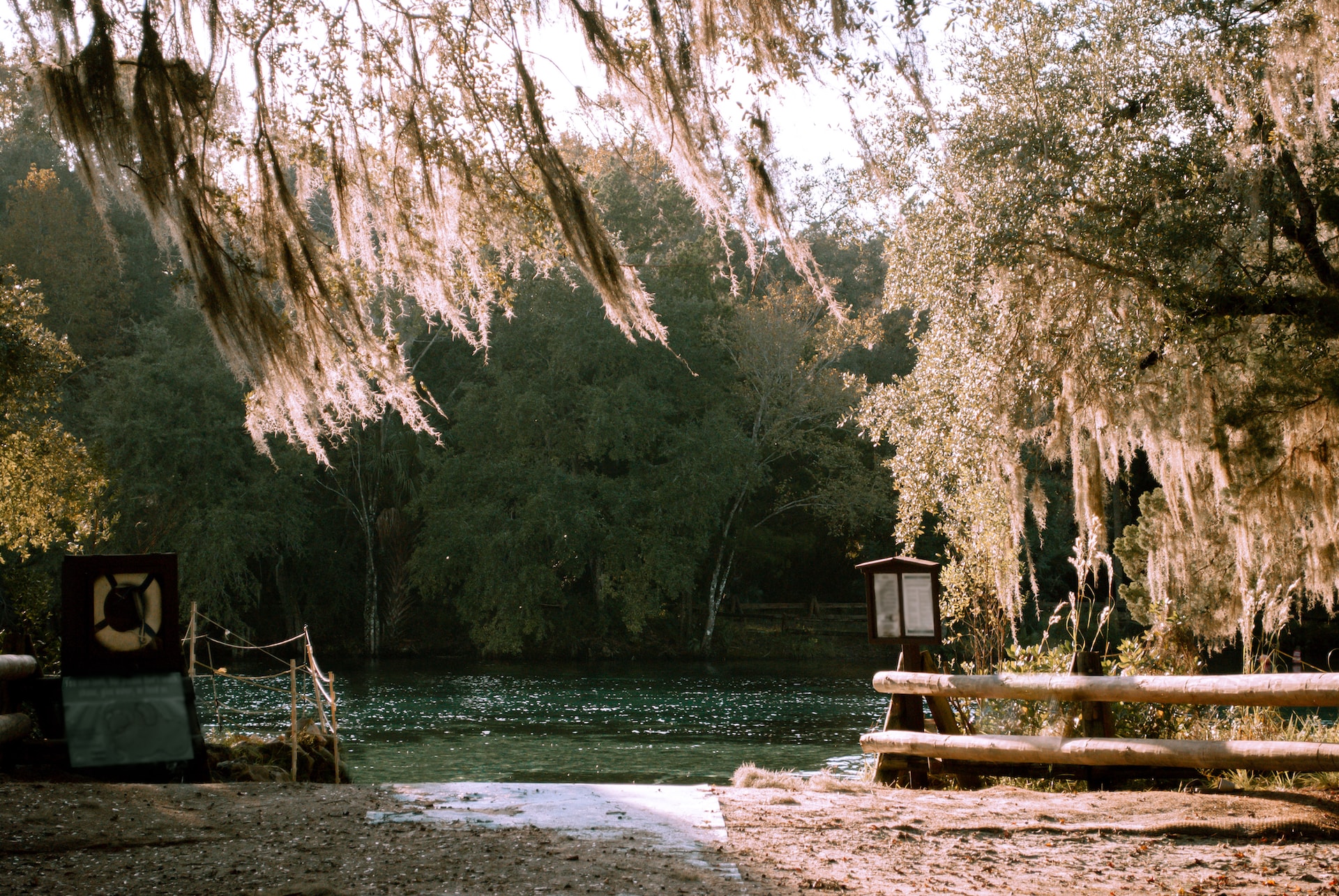 ocala trees and water